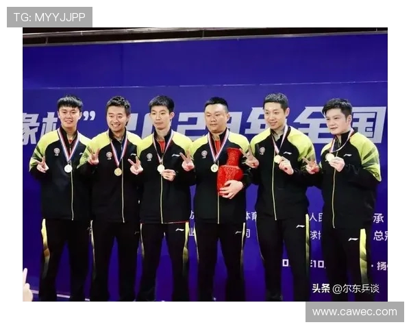 乒乓球状态排行榜揭晓上海乒乓球队荣获第五名佳绩