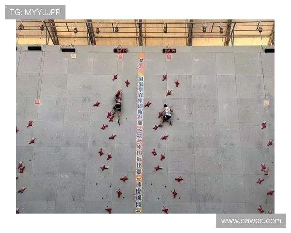 北京攀岩队在世界攀岩锦标赛中的个人能力表现分析与点评